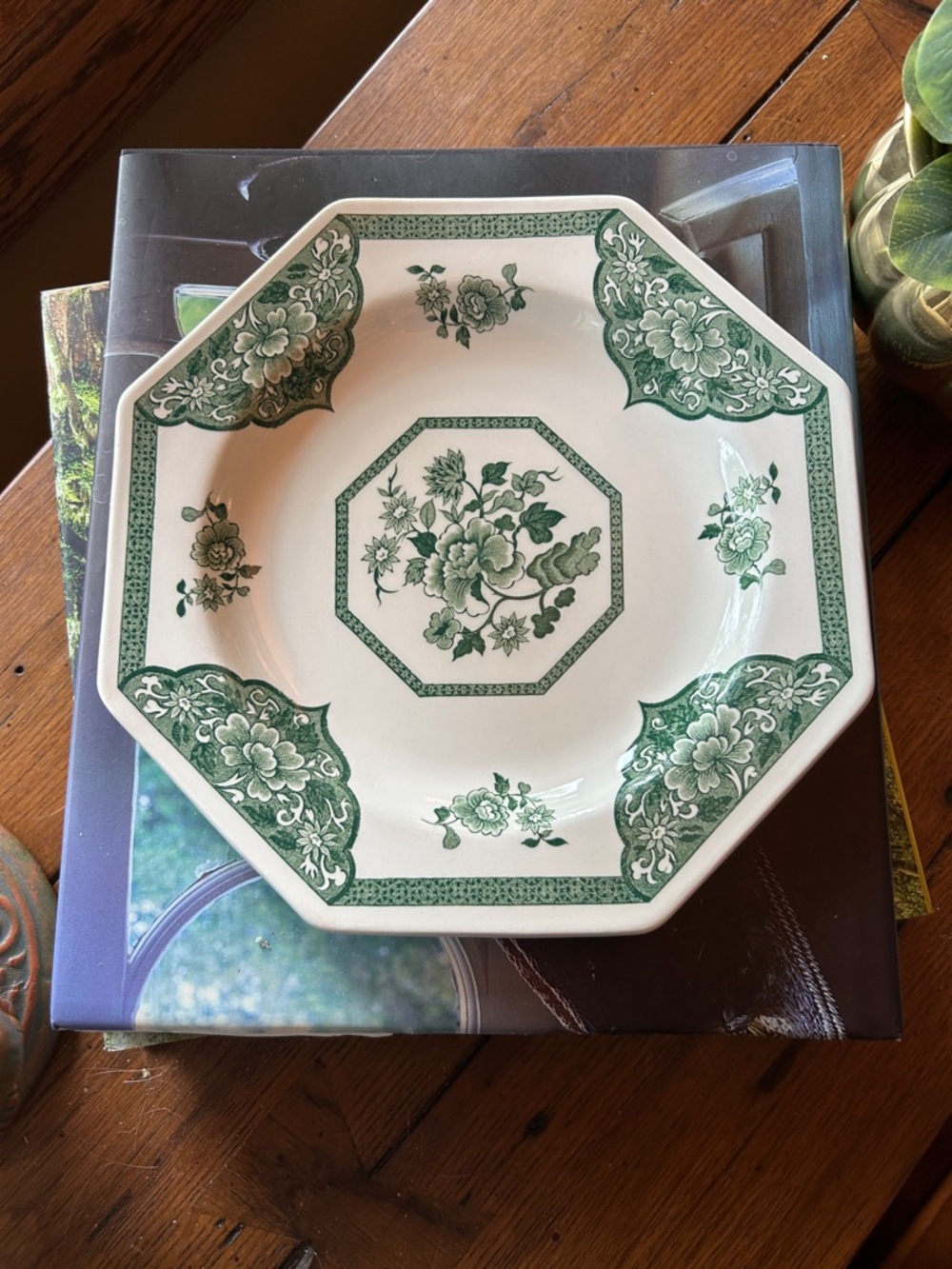 Vintage Royal Staffordshire J&G Meakin Green Transferware Ironstone Plate